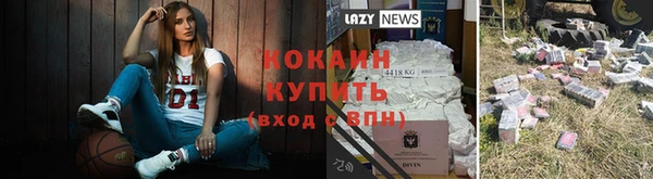 стаф Алексин