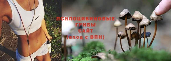 каннабис Алексеевка